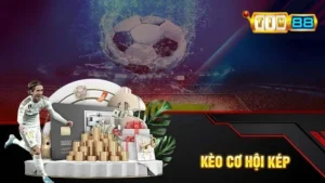 Giải Mã Kèo Cơ Hội Kép Là Gì Và Cách Đặt