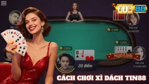 Xì Dách Tin88 | Quy Tắc Cơ Bản