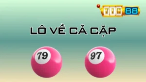 Lô Về Cả Cặp Là Gì? Cách Bắt Số Chuẩn