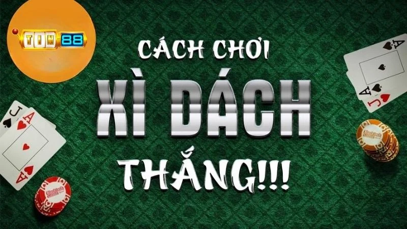 Hướng dẫn luật chơi game bài Xì Dách nhanh chóng cho newbie
