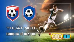 Tổng Hợp Các Thuật Ngữ Trong Cá Độ Bóng Đá