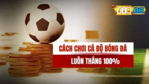 Cách Chơi Cá Độ Bóng Đá Luôn Thắng