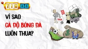 Lý Do Vì Sao Cá Độ Bóng Đá Luôn Thua