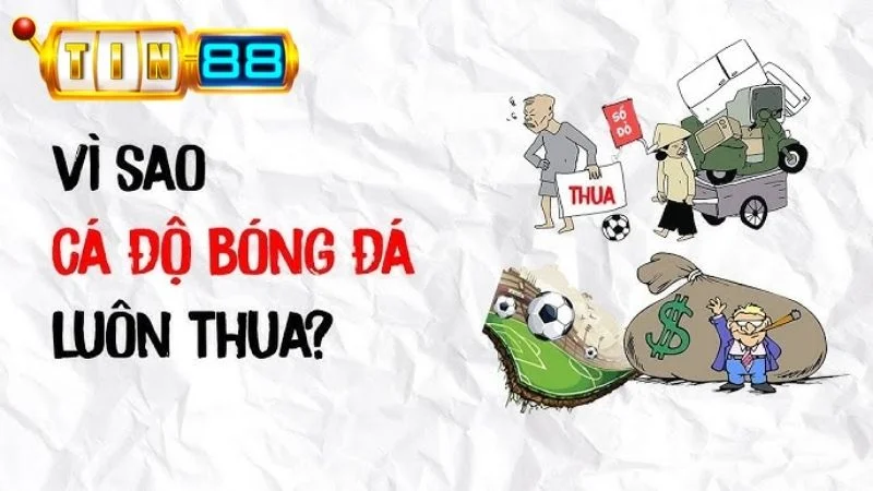 Lý Do Vì Sao Cá Độ Bóng Đá Luôn Thua